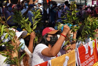 Burma protests